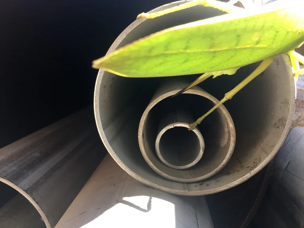 Ống Đúc Inox 304 Phi 45